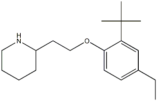 2-[2-(2-tert-butyl-4-ethylphenoxy)ethyl]piperidine 结构式