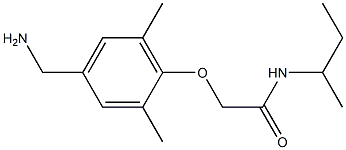 2-[4-(aminomethyl)-2,6-dimethylphenoxy]-N-(butan-2-yl)acetamide 结构式