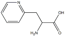 2-amino-3-pyridin-2-ylpropanoic acid 结构式