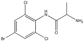 2-amino-N-(4-bromo-2,6-dichlorophenyl)propanamide 结构式
