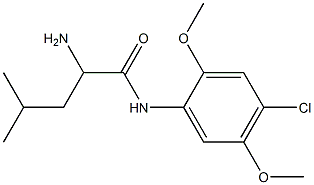 2-amino-N-(4-chloro-2,5-dimethoxyphenyl)-4-methylpentanamide 结构式