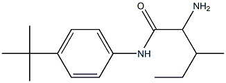 2-amino-N-(4-tert-butylphenyl)-3-methylpentanamide 结构式