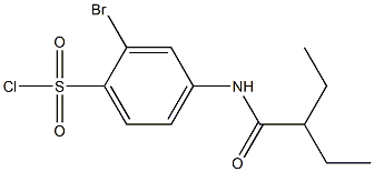 2-bromo-4-(2-ethylbutanamido)benzene-1-sulfonyl chloride 结构式