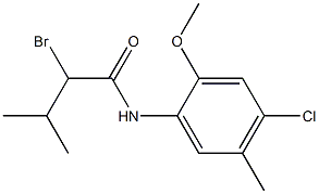 2-bromo-N-(4-chloro-2-methoxy-5-methylphenyl)-3-methylbutanamide 结构式