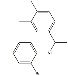 2-bromo-N-[1-(3,4-dimethylphenyl)ethyl]-4-methylaniline 结构式