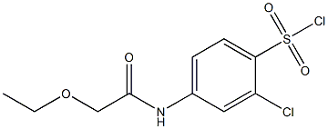 2-chloro-4-(2-ethoxyacetamido)benzene-1-sulfonyl chloride 结构式