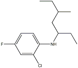 2-chloro-4-fluoro-N-(5-methylheptan-3-yl)aniline 结构式