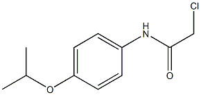 2-chloro-N-[4-(propan-2-yloxy)phenyl]acetamide 结构式