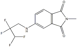 2-methyl-5-[(2,2,3,3-tetrafluoropropyl)amino]-2,3-dihydro-1H-isoindole-1,3-dione 结构式