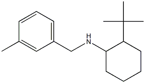 2-tert-butyl-N-[(3-methylphenyl)methyl]cyclohexan-1-amine 结构式