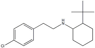 2-tert-butyl-N-[2-(4-chlorophenyl)ethyl]cyclohexan-1-amine 结构式