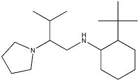 2-tert-butyl-N-[3-methyl-2-(pyrrolidin-1-yl)butyl]cyclohexan-1-amine 结构式