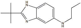 2-tert-butyl-N-propyl-1H-1,3-benzodiazol-5-amine 结构式