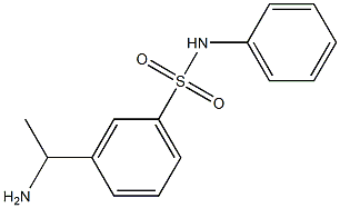 3-(1-aminoethyl)-N-phenylbenzene-1-sulfonamide 结构式