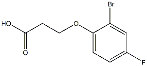 3-(2-bromo-4-fluorophenoxy)propanoic acid 结构式