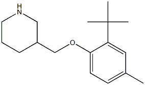 3-(2-tert-butyl-4-methylphenoxymethyl)piperidine 结构式