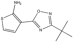 3-(3-tert-butyl-1,2,4-oxadiazol-5-yl)thiophen-2-amine 结构式