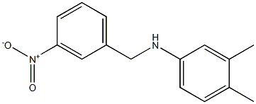 3,4-dimethyl-N-[(3-nitrophenyl)methyl]aniline 结构式