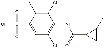 3,5-dichloro-2-methyl-4-[(2-methylcyclopropane)amido]benzene-1-sulfonyl chloride 结构式