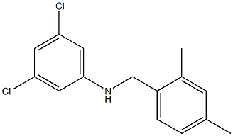 3,5-dichloro-N-[(2,4-dimethylphenyl)methyl]aniline 结构式