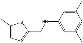 3,5-dimethyl-N-[(5-methylthiophen-2-yl)methyl]aniline 结构式