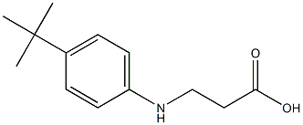 3-[(4-tert-butylphenyl)amino]propanoic acid 结构式