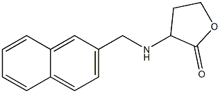 3-[(naphthalen-2-ylmethyl)amino]oxolan-2-one 结构式