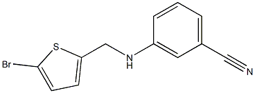 3-{[(5-bromothiophen-2-yl)methyl]amino}benzonitrile 结构式