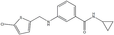 3-{[(5-chlorothiophen-2-yl)methyl]amino}-N-cyclopropylbenzamide 结构式