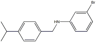 3-bromo-N-{[4-(propan-2-yl)phenyl]methyl}aniline 结构式