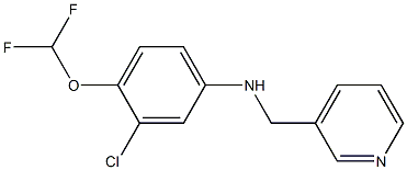 3-chloro-4-(difluoromethoxy)-N-(pyridin-3-ylmethyl)aniline 结构式