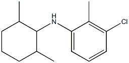 3-chloro-N-(2,6-dimethylcyclohexyl)-2-methylaniline 结构式