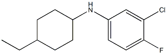 3-chloro-N-(4-ethylcyclohexyl)-4-fluoroaniline 结构式