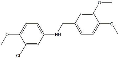 3-chloro-N-[(3,4-dimethoxyphenyl)methyl]-4-methoxyaniline 结构式