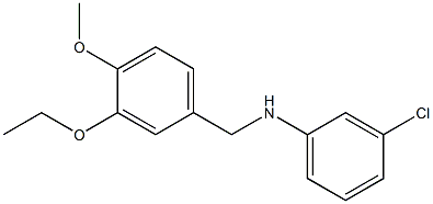3-chloro-N-[(3-ethoxy-4-methoxyphenyl)methyl]aniline 结构式