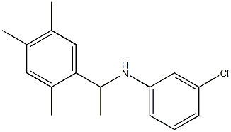 3-chloro-N-[1-(2,4,5-trimethylphenyl)ethyl]aniline 结构式