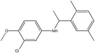 3-chloro-N-[1-(2,5-dimethylphenyl)ethyl]-4-methoxyaniline 结构式