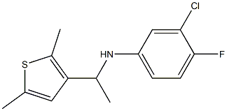 3-chloro-N-[1-(2,5-dimethylthiophen-3-yl)ethyl]-4-fluoroaniline 结构式