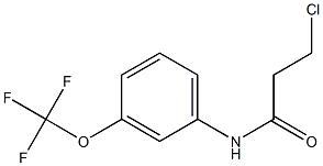 3-chloro-N-[3-(trifluoromethoxy)phenyl]propanamide 结构式