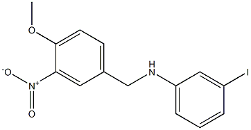 3-iodo-N-[(4-methoxy-3-nitrophenyl)methyl]aniline 结构式