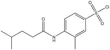 3-methyl-4-(4-methylpentanamido)benzene-1-sulfonyl chloride 结构式