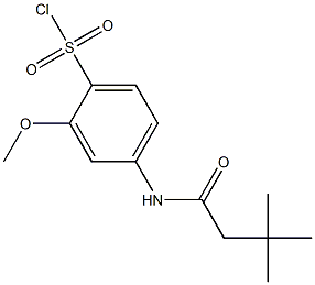 4-(3,3-dimethylbutanamido)-2-methoxybenzene-1-sulfonyl chloride 结构式