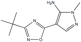 4-(3-tert-butyl-1,2,4-oxadiazol-5-yl)-1-methyl-1H-pyrazol-5-amine 结构式