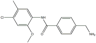 4-(aminomethyl)-N-(4-chloro-2-methoxy-5-methylphenyl)benzamide 结构式