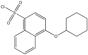 4-(cyclohexyloxy)naphthalene-1-sulfonyl chloride 结构式