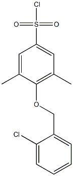4-[(2-chlorophenyl)methoxy]-3,5-dimethylbenzene-1-sulfonyl chloride 结构式