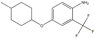 4-[(4-methylcyclohexyl)oxy]-2-(trifluoromethyl)aniline 结构式