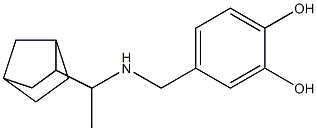 4-{[(1-{bicyclo[2.2.1]heptan-2-yl}ethyl)amino]methyl}benzene-1,2-diol 结构式