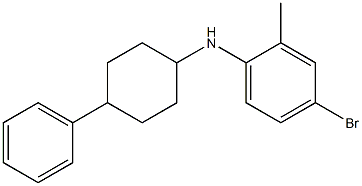 4-bromo-2-methyl-N-(4-phenylcyclohexyl)aniline 结构式