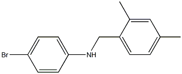 4-bromo-N-[(2,4-dimethylphenyl)methyl]aniline 结构式